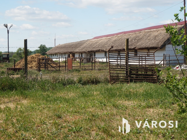 Önellátó családi gazdaság Nagykőrösön
