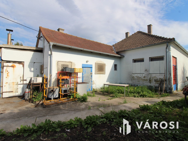 Szabad tartású mangalica telep, kiváló befektetési lehetőség