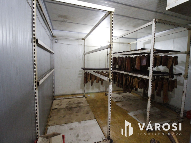 Szabad tartású mangalica telep, kiváló befektetési lehetőség