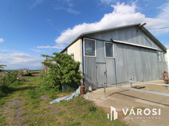 Szabad tartású mangalica telep, kiváló befektetési lehetőség