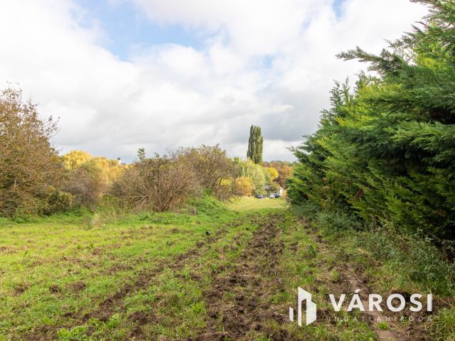 Akár 5 telek kialakítására alkalmas belterületi telek