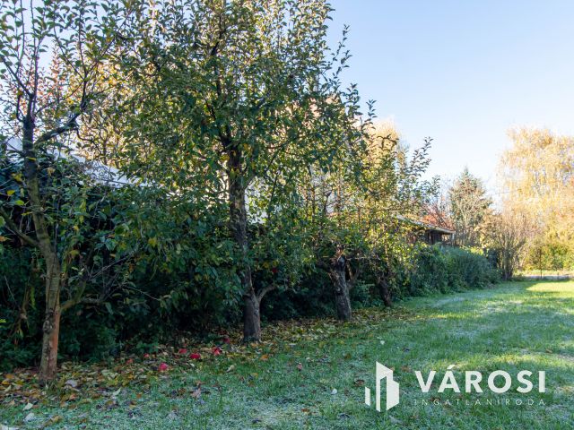 Jelenleg még zártkerti besorolású telek Pilisborosjenőn