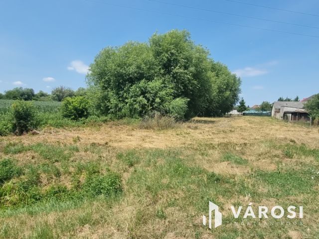 Kedvező áron építési telek eladó Kiskanizsán!