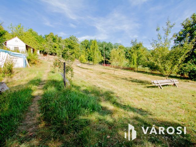 Erdő közepén, a természet szomszédságában élni jó.