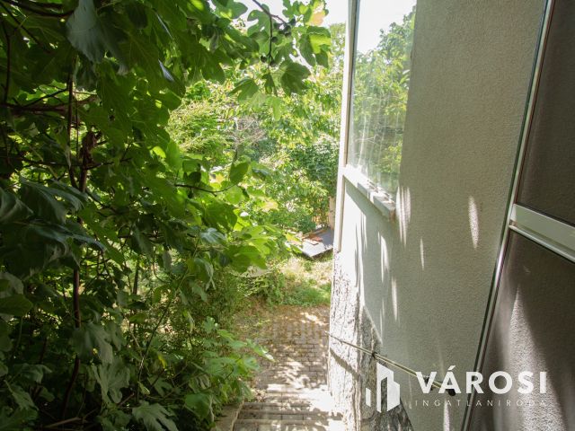 Gosztola hegyi ingatlan, szép nagy területtel eladó!