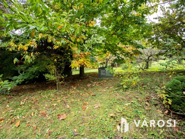 Lovásziban, kedves kis hangulatú zártkerti ingatlan eladó!