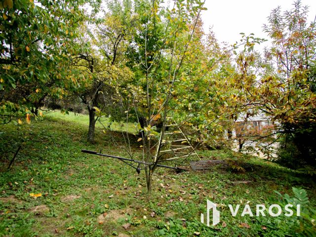 Lovásziban, kedves kis hangulatú zártkerti ingatlan eladó!