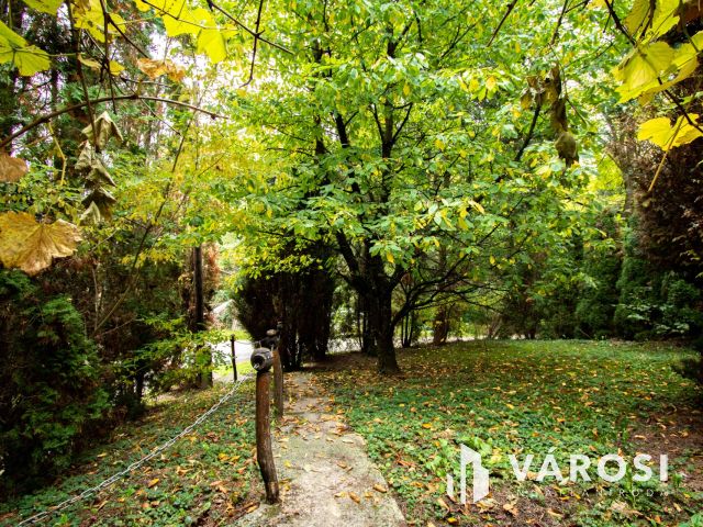 Lovásziban, kedves kis hangulatú zártkerti ingatlan eladó!