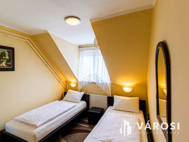 Bejáratott Panzió + egy 100 m2-es ház