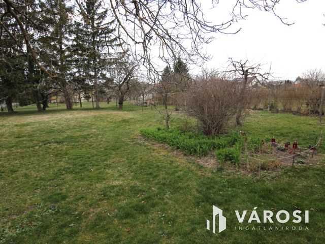 Klasszikus alapok, új lehetőségek – Herend