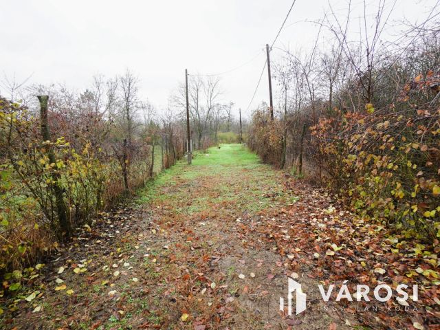 Verőce, a nyugalom szigete!