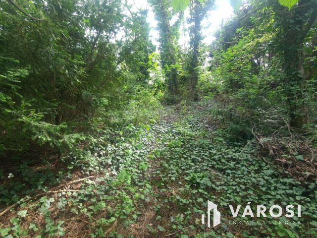 Balatonkenesén jó szerkezetű, felújításra szoruló ház eladó!