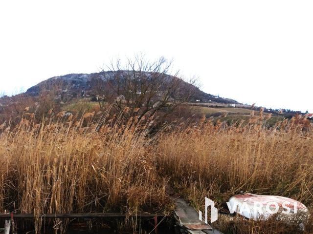 Vízparti telek és nádas Badacsonytomajon eladó