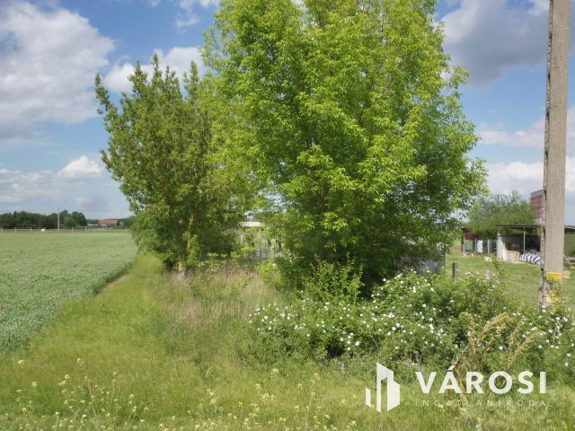 Szőreg,Makai úti zártkert 3 ház engedélyes tervével eladó.